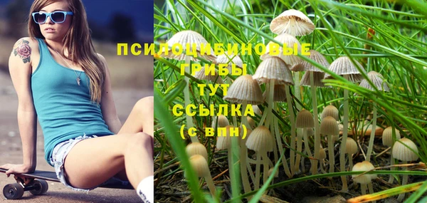 крисы Беломорск